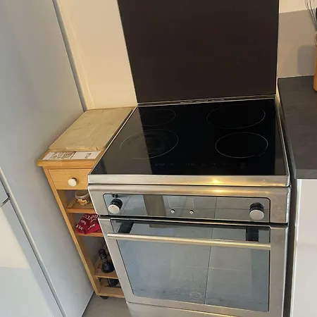 2p Climatise Avec Terrasse Et Jardin, Centre-ville - Fr-1-308-187